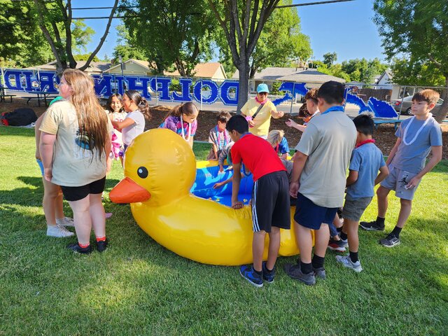 Duck Pond - Free shipping in the USA