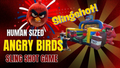 Angry Bird Sling Shot - Free shipping in the USA