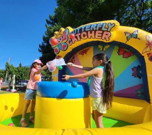Butterfly Catcher - Free shipping in the USA