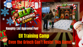 Elf Training Camp - Free shipping in the USA