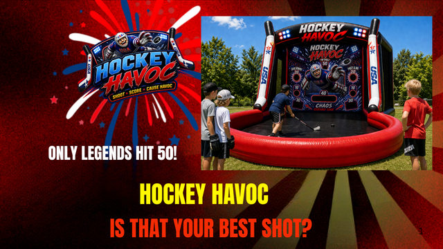 Hockey Havoc - Free shipping in the USA