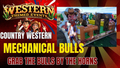 Mechanical Bull Inflatable Replacement - FREE shipping in the USA