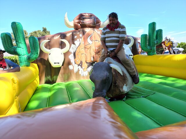 Mechanical Bull Inflatable Replacement - FREE shipping in the USA