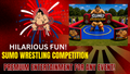 Sumo Wrestling Arena - Free shipping in the USA
